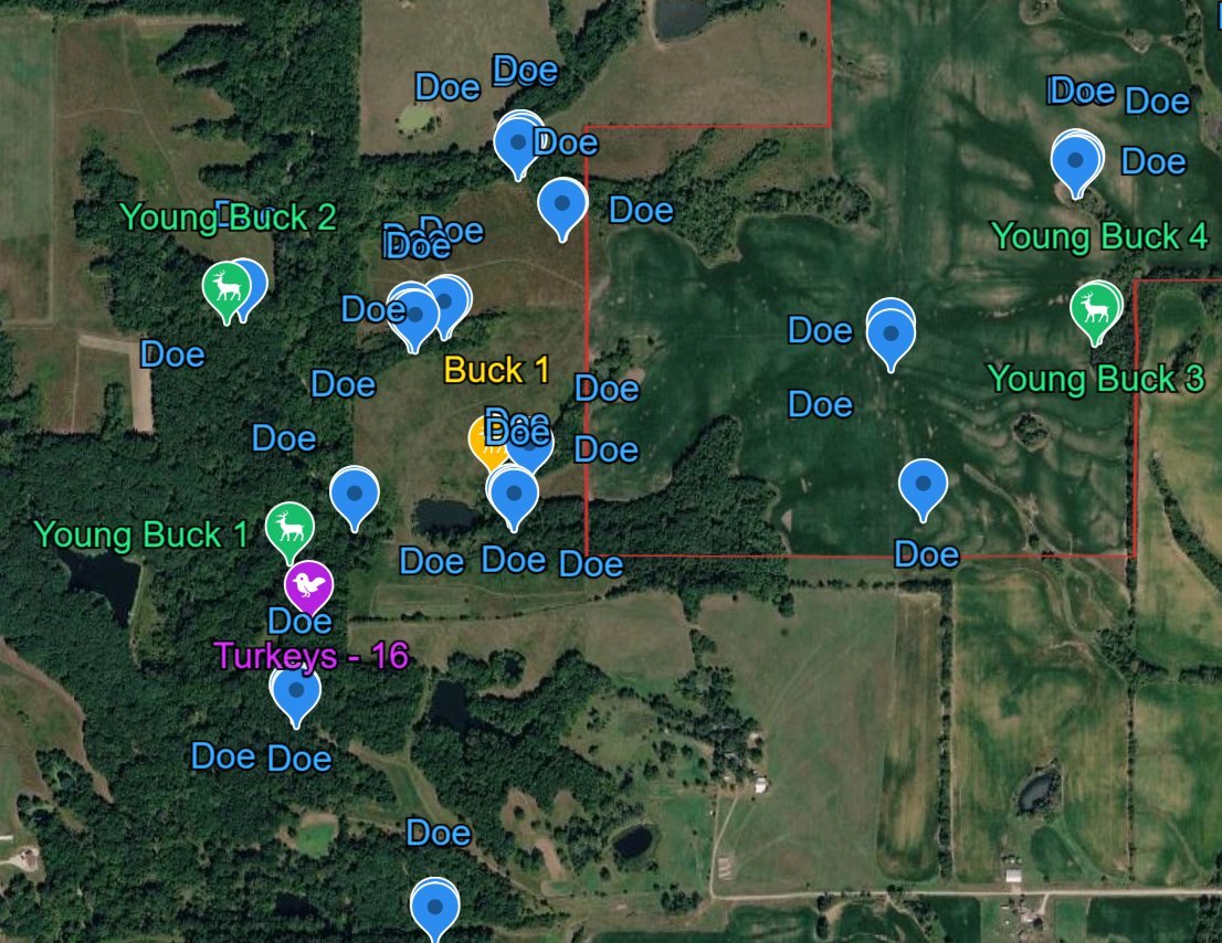 Aerial herd analysis map with bucks, does and turkeys pinned across a property